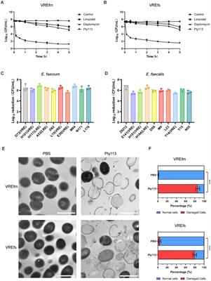 Bacteriophage endolysin Ply113 as a potent antibacterial agent against polymicrobial biofilms formed by enterococci and Staphylococcus aureus